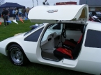 Embeesea Kit Cars - Charger. Gullwing door up